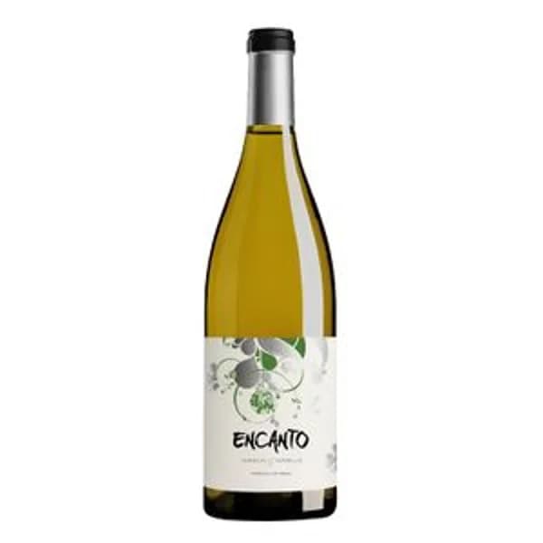 Vino Blco Verdejo Godello Tierra Castilla León - 0.75 l - Imagen del producto en Findit
