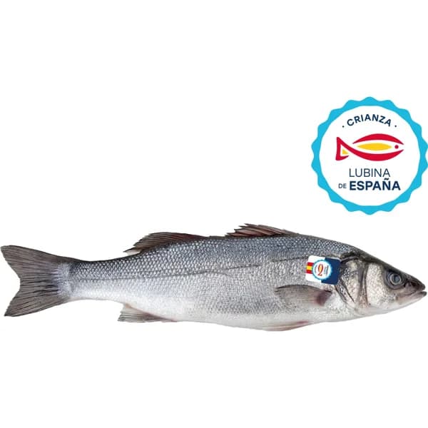 Lubina Mediterráneo - 0.5 kg - Imagen del producto en Findit