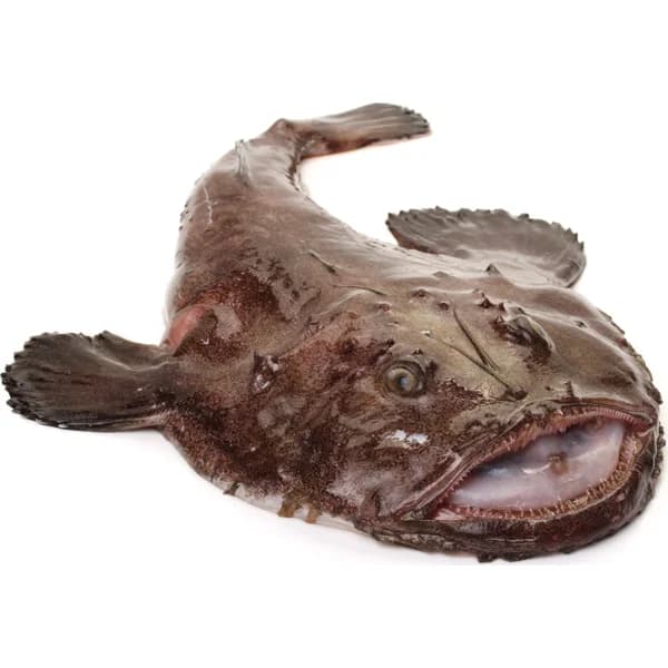 Rape de Lonja - 1.3 kg - Imagen del producto en Findit