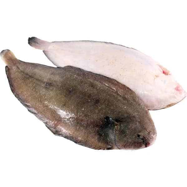 Lenguado - 0.18 kg - Imagen del producto en Findit