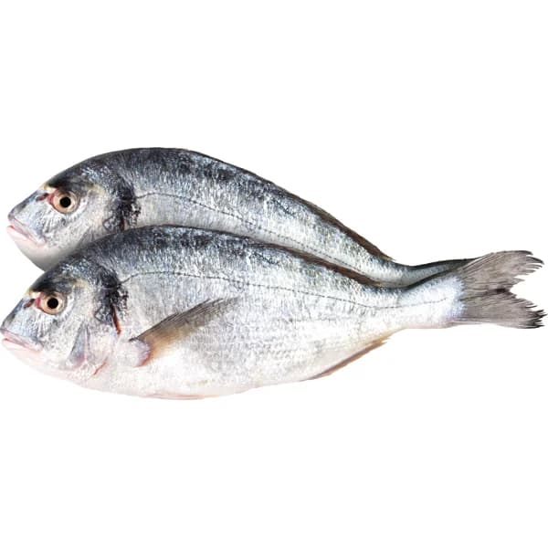 Dorada Estero - 0.5 kg - Imagen del producto en Findit