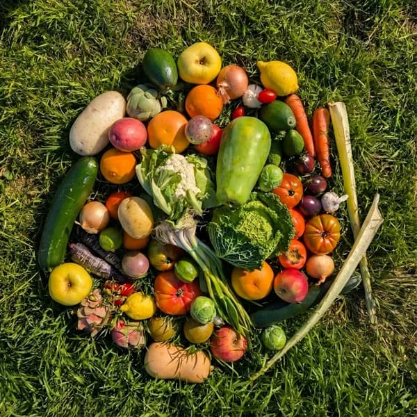 Caja Mixta de Frutas y Verduras de Temporada de Nuestros Agricultores - Grande - 9kg (24% de ahorro en precio y transporte) - 9 kg - Imagen del producto en Findit
