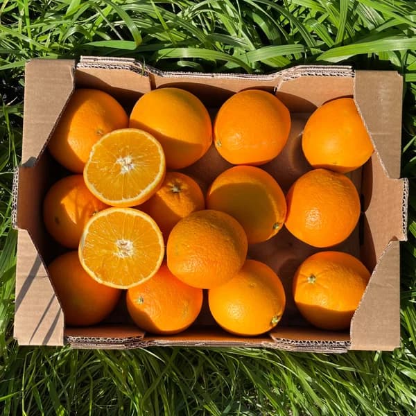 Naranja de Nuestros Agricultores - Grande - 8.5kg (22-25 piezas aprox + 13% de ahorro en precio y transporte) - 8.5 kg - Imagen del producto en Findit