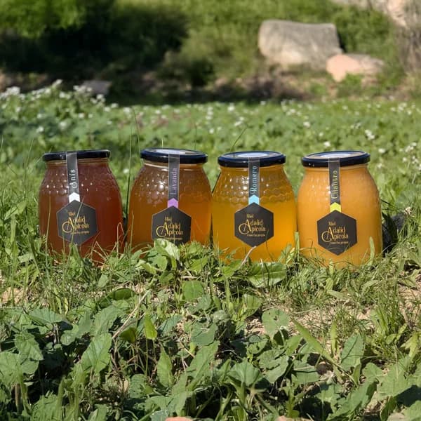 Mieles de Nuestros Apicultores - Convencional / Grande - 6kg (8% de ahorro en precio y transporte) - 6 kg - Imagen del producto en Findit