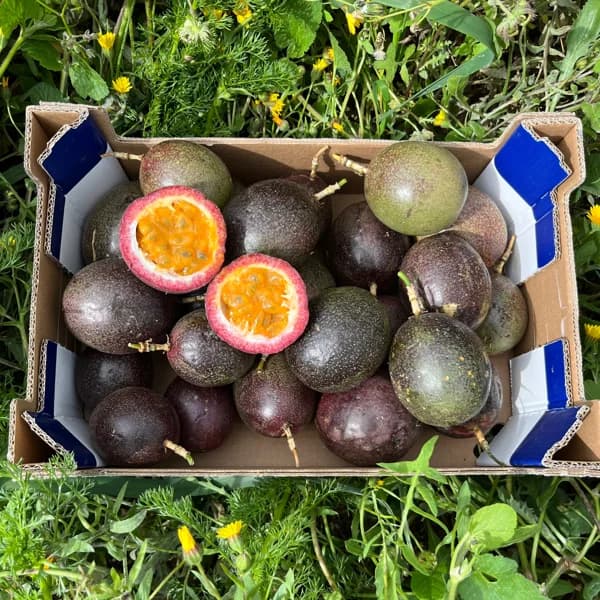 Maracuyá Orgánico - Mediana - 2.5kg (30-36 piezas aprox + 7% de ahorro en precio y transporte) - 2.5 kg - Imagen del producto en Findit