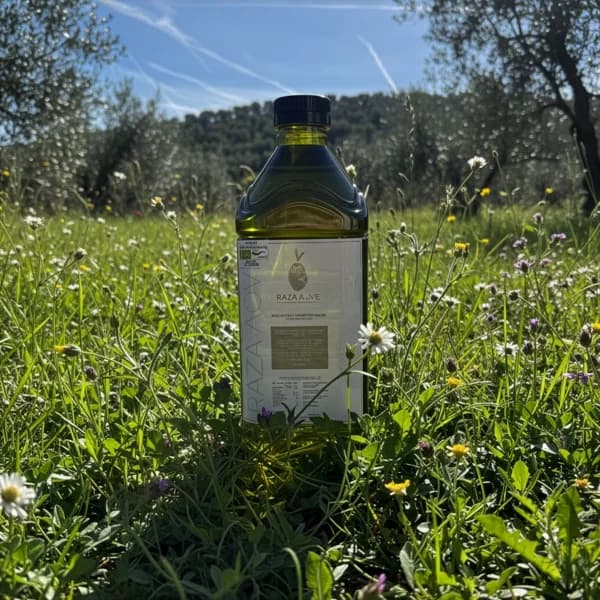 Aceite de Oliva Virgen Extra Orgánico - Mediana - 4L (8% de ahorro en precio y transporte) - 4 kg - Imagen del producto en Findit