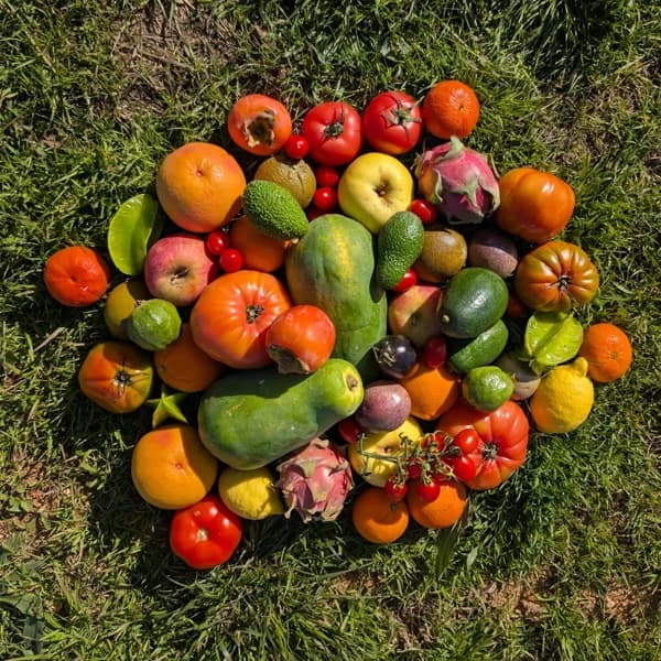 Caja de Fruta de Temporada de Nuestros Agricultores - Pequeña - 4kg - 4 kg - Imagen del producto en Findit
