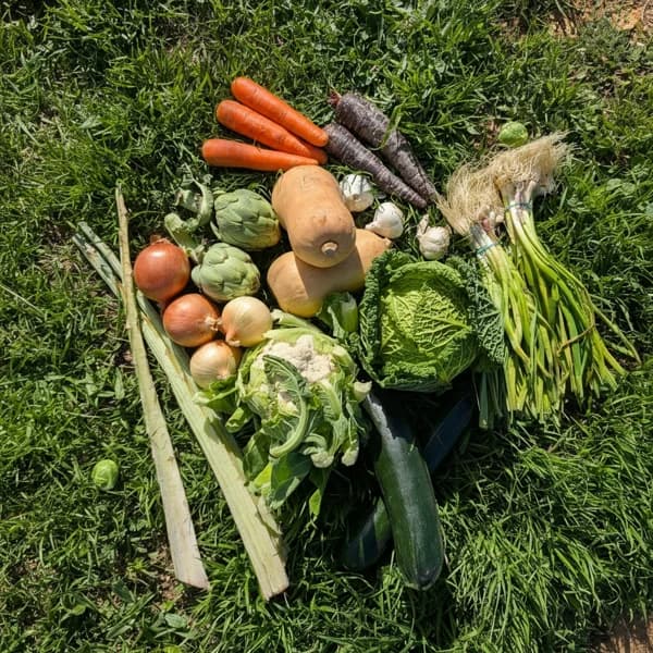 Caja de Verdura de Temporada de Nuestros Agricultores - Pequeña - 4kg - 4 kg - Imagen del producto en Findit