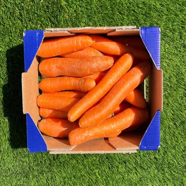 Zanahoria de Nuestros Agricultores - Pequeña - 2kg - 2 kg - Imagen del producto en Findit