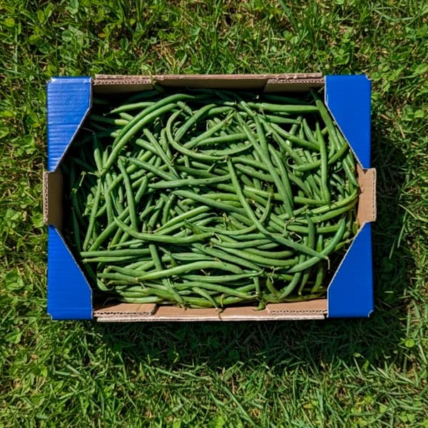 Judía Redonda de Nuestros Agricultores - Mediana - 2.5kg (17% de ahorro en precio y transporte) - 2.5 kg - Imagen del producto en Findit