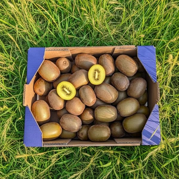 Kiwi de Nuestros Agricultores - Convencional / Grande - 10kg - 10 kg - Imagen del producto en Findit