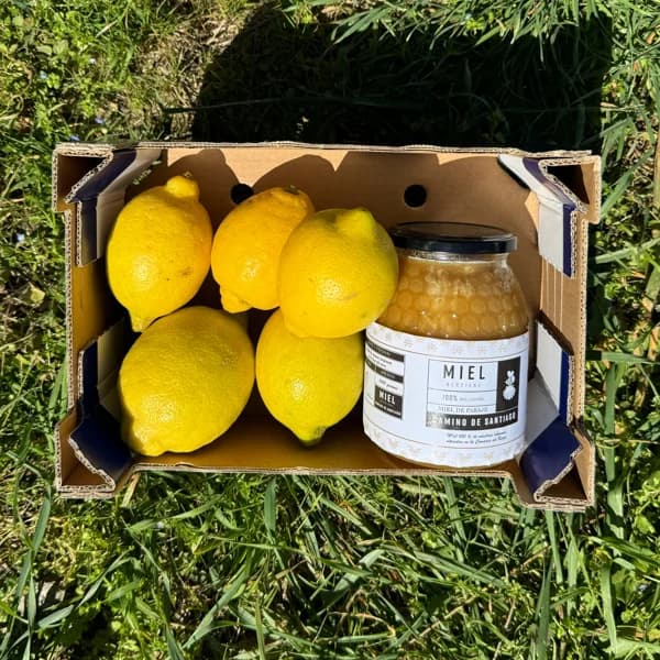 1kg Miel + 1kg Limón Orgánico - 2 kg - Imagen del producto en Findit