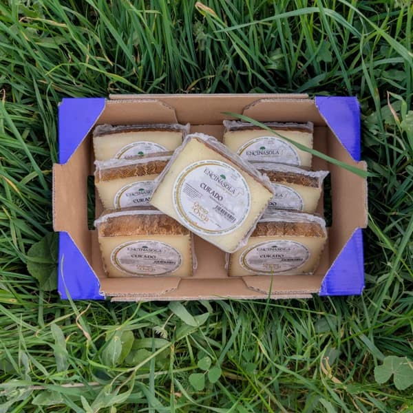 Queso de Oveja Curado - Mediana - 8 cuñas (4% de ahorro en precio y transporte) - 8 ud - Imagen del producto en Findit