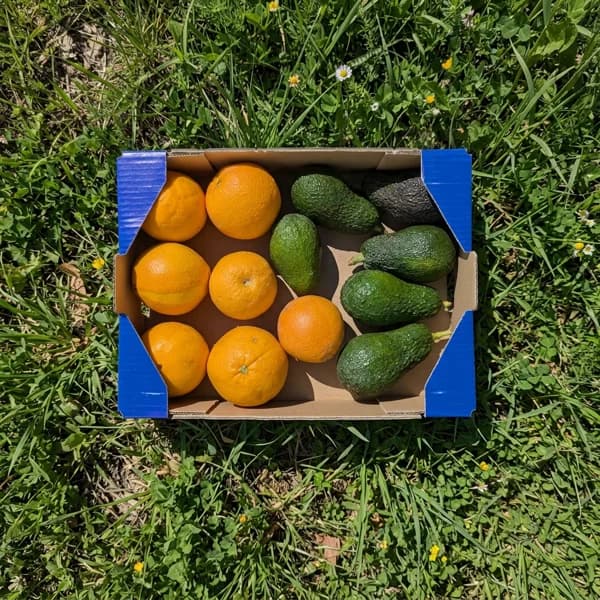 1.5kg Aguacate + 2.5kg Naranja - 4 kg - Imagen del producto en Findit