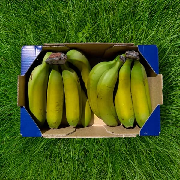 Plátanos de Nuestros Agricultores - Convencional / Grande - 8kg (48-52 piezas aprox + 26% de ahorro en precio y transporte) - 1 ud - Imagen del producto en Findit