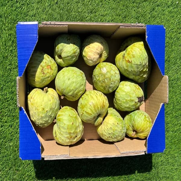 Chirimoya Orgánica de Nuestros Agricultores - Pequeña - 2kg (6 piezas aprox) - 1 ud - Imagen del producto en Findit