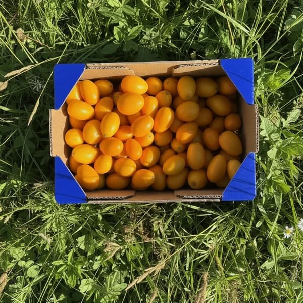 Kumquat - 2kg - Organico - 2 kg - Imagen del producto en Findit