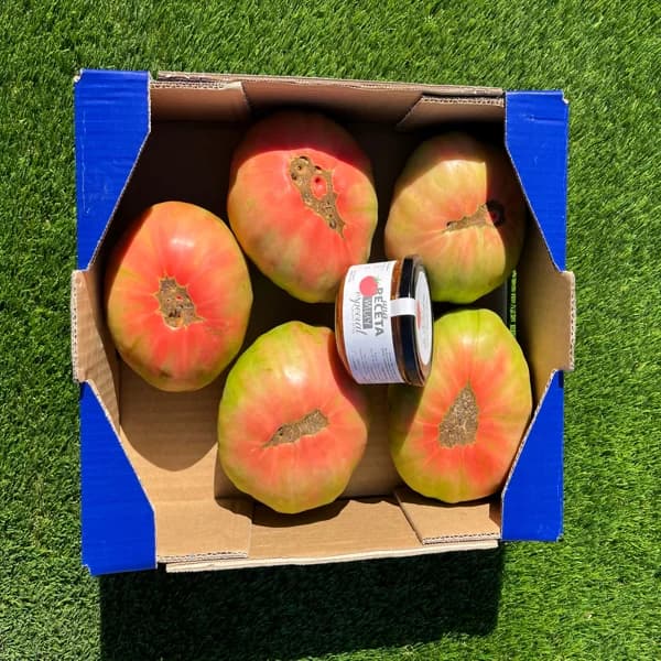 4kg Tomate Barbastro + 1 Tarro de Frito de Tomate Cherry - 4 kg - Imagen del producto en Findit