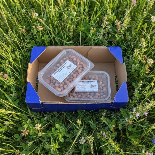 Avellanas al Natural - 500gr - 0.5 kg - Imagen del producto en Findit