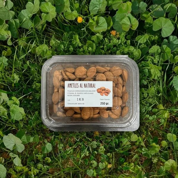 Almendras al Natural - 500gr - 0.5 kg - Imagen del producto en Findit