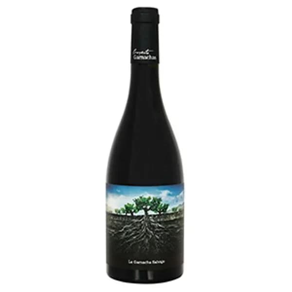 Vino Tinto I.G.P. Ribera del Queiles - 1 ud - Imagen del producto en Findit