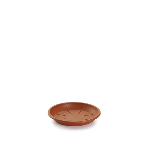 Plato Maceta Plástico 14CM - 1 ud - Imagen del producto en Findit