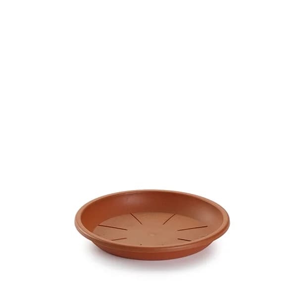 Plato Maceta Plástico 20CM - 1 ud - Imagen del producto en Findit