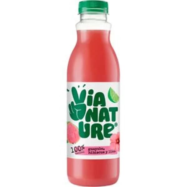 Zumo de Guayaba - 0.6 l - Imagen del producto en Findit