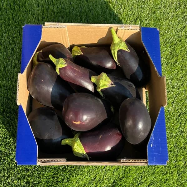 Berenjena de Nuestros Agricultores - Organico / Pequeña - 3kg (8-9 piezas aprox) - 3 kg - Imagen del producto en Findit