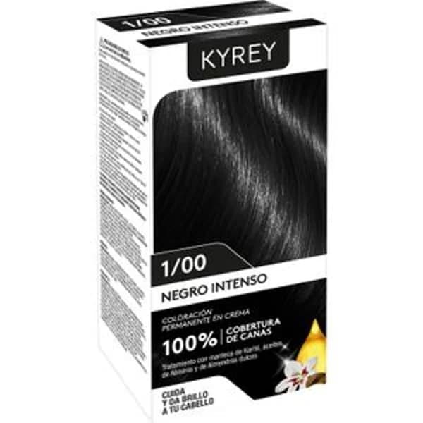 Tinte 1/00 Negro Intenso - 1 ud - Imagen del producto en Findit
