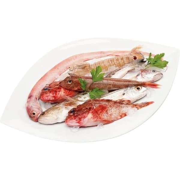 Morralla Lonjas del Mediterráneo - 1 kg - Imagen del producto en Findit