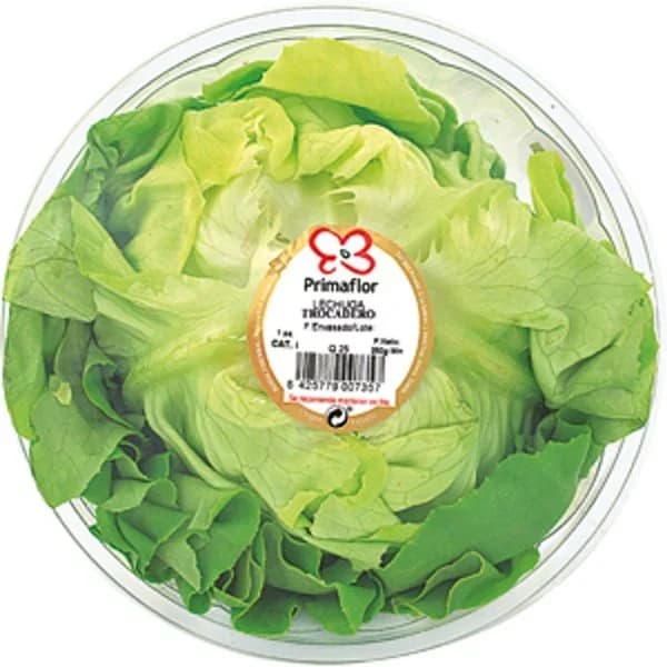 Lechuga Trocadero Peso Aproximado 300 gr - 0.3 kg - Imagen del producto en Findit