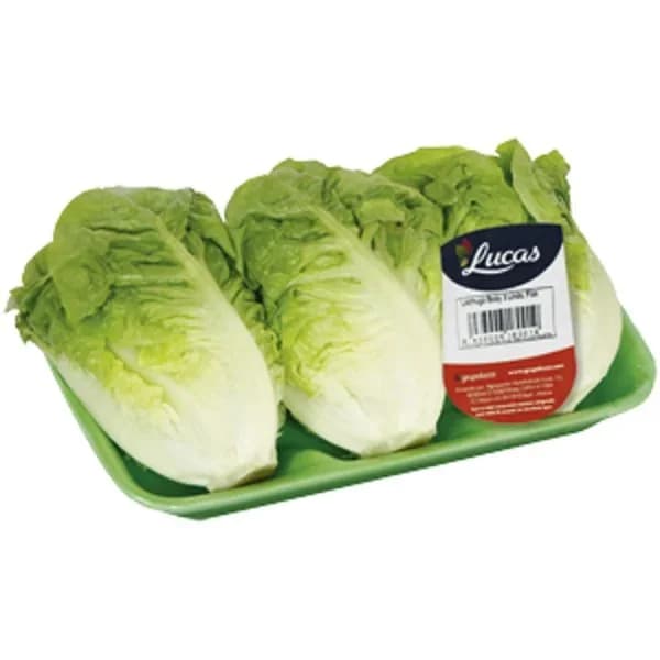 Cogollos 3 Unidades Peso Aprox. 330  Gr. - 0.33 kg - Imagen del producto en Findit