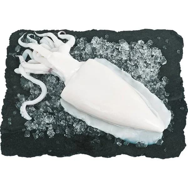 Sepia Limpia . - 0.55 kg - Imagen del producto en Findit
