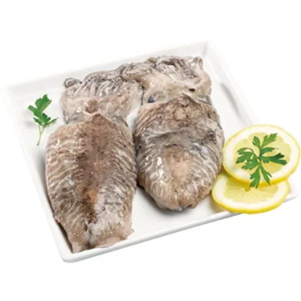 Sepia Sucia - 0.55 kg - Imagen del producto en Findit