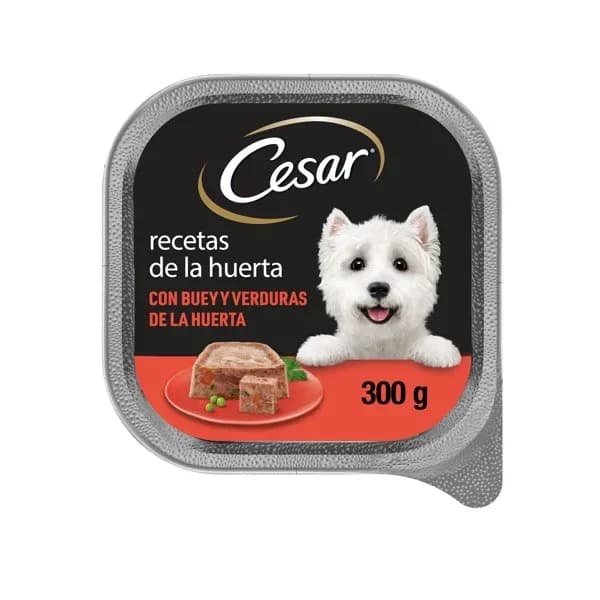 Alimento de buey-verduritas para perro CESAR, tarrina 300 g - 1 ud - Imagen del producto en Findit