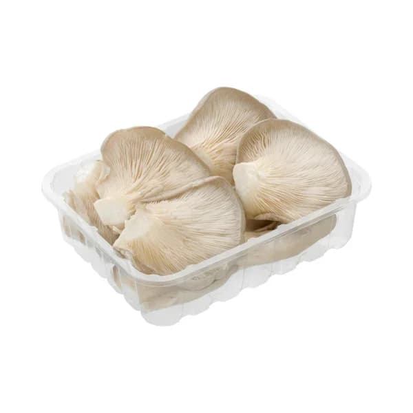 Seta - 0.25 kg - Imagen del producto en Findit
