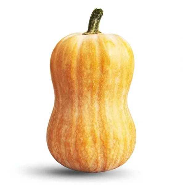 Calabaza cacahuete - 1 ud - Imagen del producto en Findit