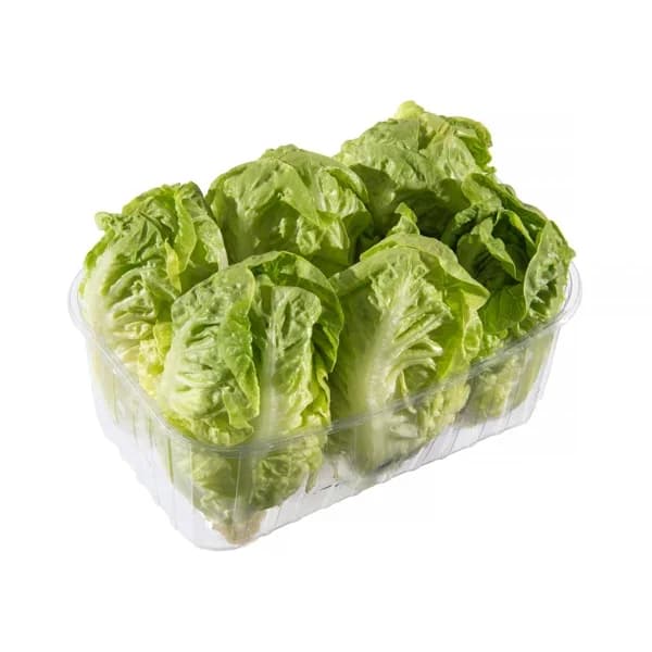 Cogollos corazón de lechuga - 5.99 ud - Imagen del producto en Findit