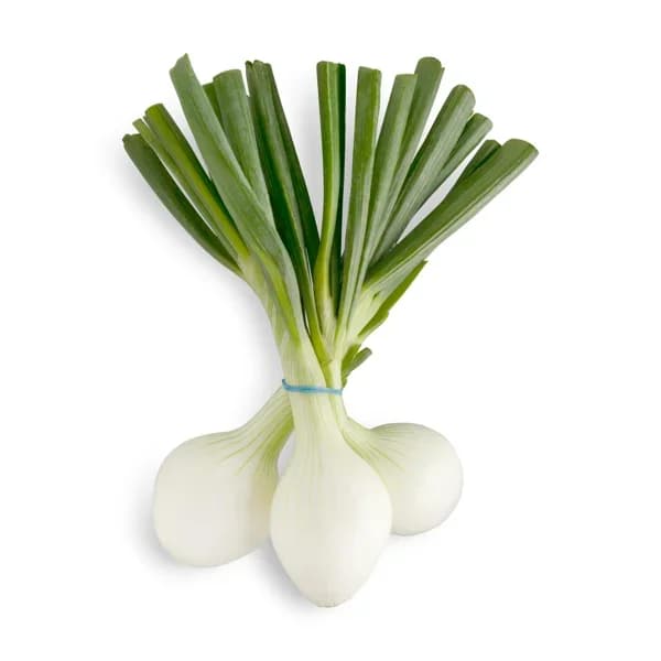 Cebollas tiernas - 3 ud - Imagen del producto en Findit