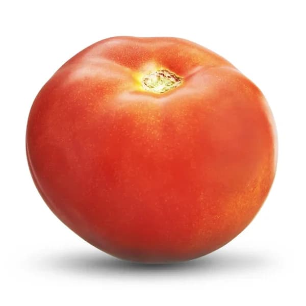 Tomate canario - 0.22 kg - Imagen del producto en Findit