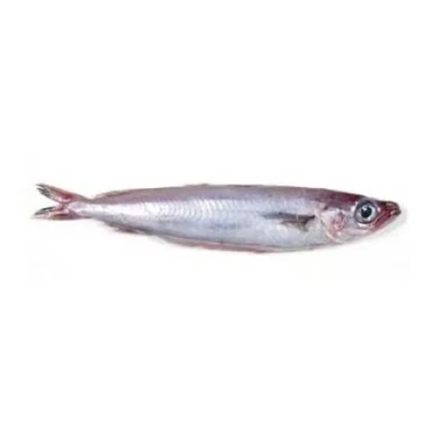 Arroz Thai Tilda - 1 kg - Imagen del producto en Findit