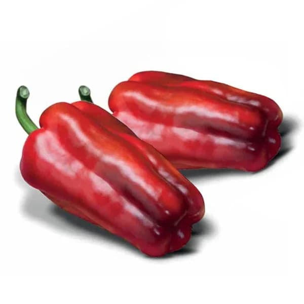 Pimiento Rojo €/KG - 1 kg - Imagen del producto en Findit