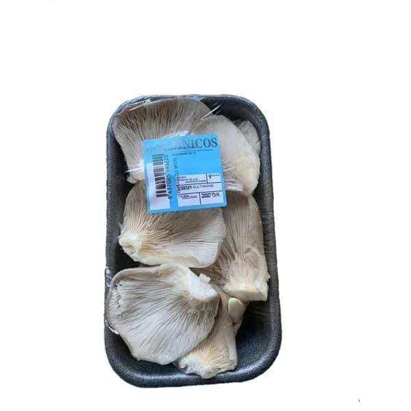 Seta Bandeja 200G - 1 ud - Imagen del producto en Findit