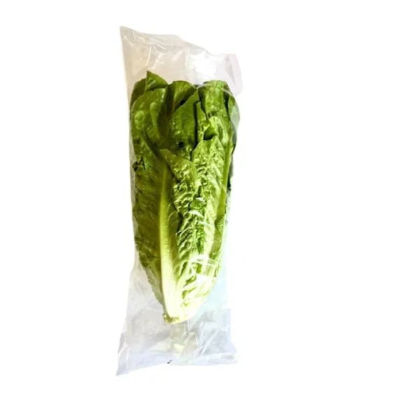 Lechuga - 0.63 ud - Imagen del producto en Findit