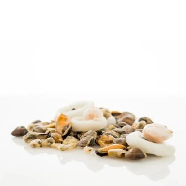 Sopa de marisco congelado a granel - 1 kg - Imagen del producto en Findit