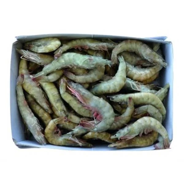 Langostino 20/30 congelado a granel - 0.8 kg - Imagen del producto en Findit