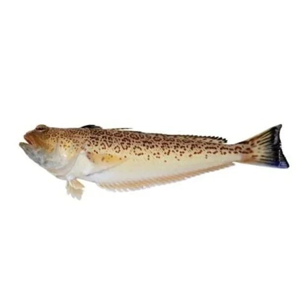 Paté de higado de pato al Oporto DELICASS, lata 130 g - 1 kg - Imagen del producto en Findit