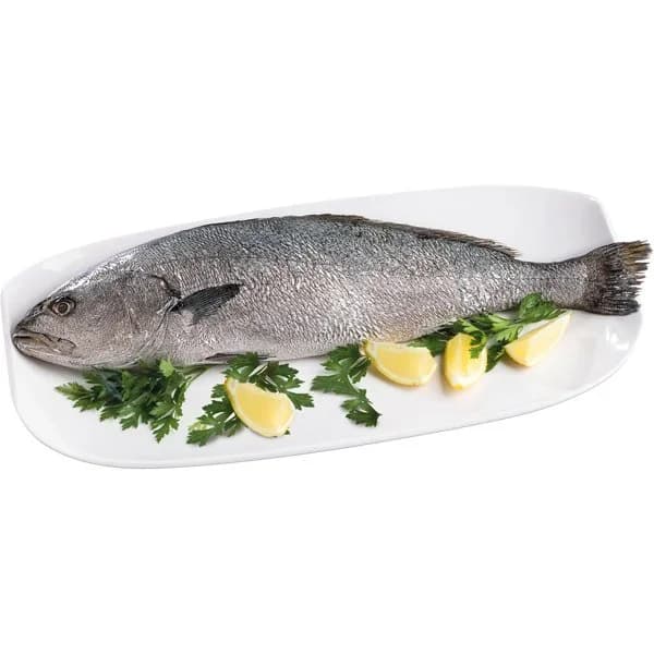 Corvina Crianza España Entera o mitades - 1.35 kg - Imagen del producto en Findit