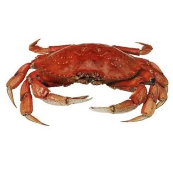 Cangrejo cocido (entrega fin de semana) - 1 kg - Imagen del producto en Findit